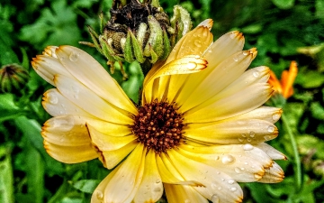 IMG_20191010_111054~3