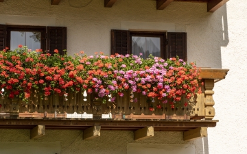 Unsere Wohnung